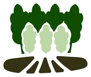 Fields module symbol
