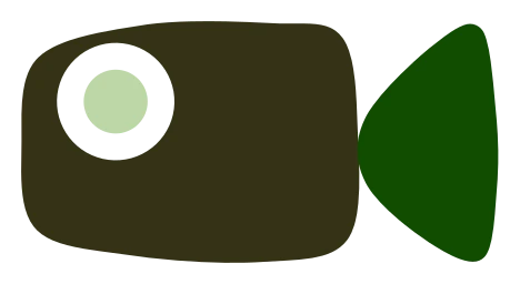 Cameras module symbol